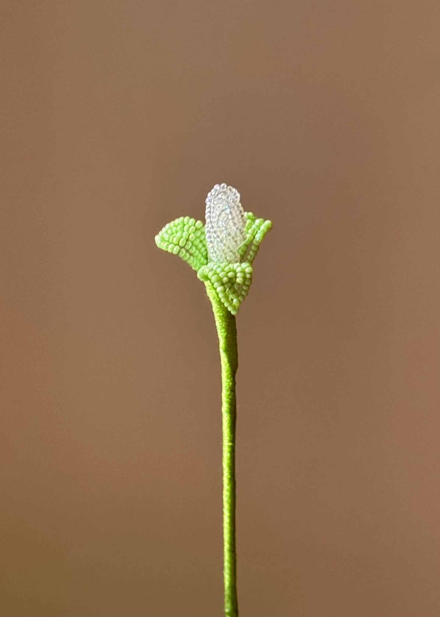 single bud stem