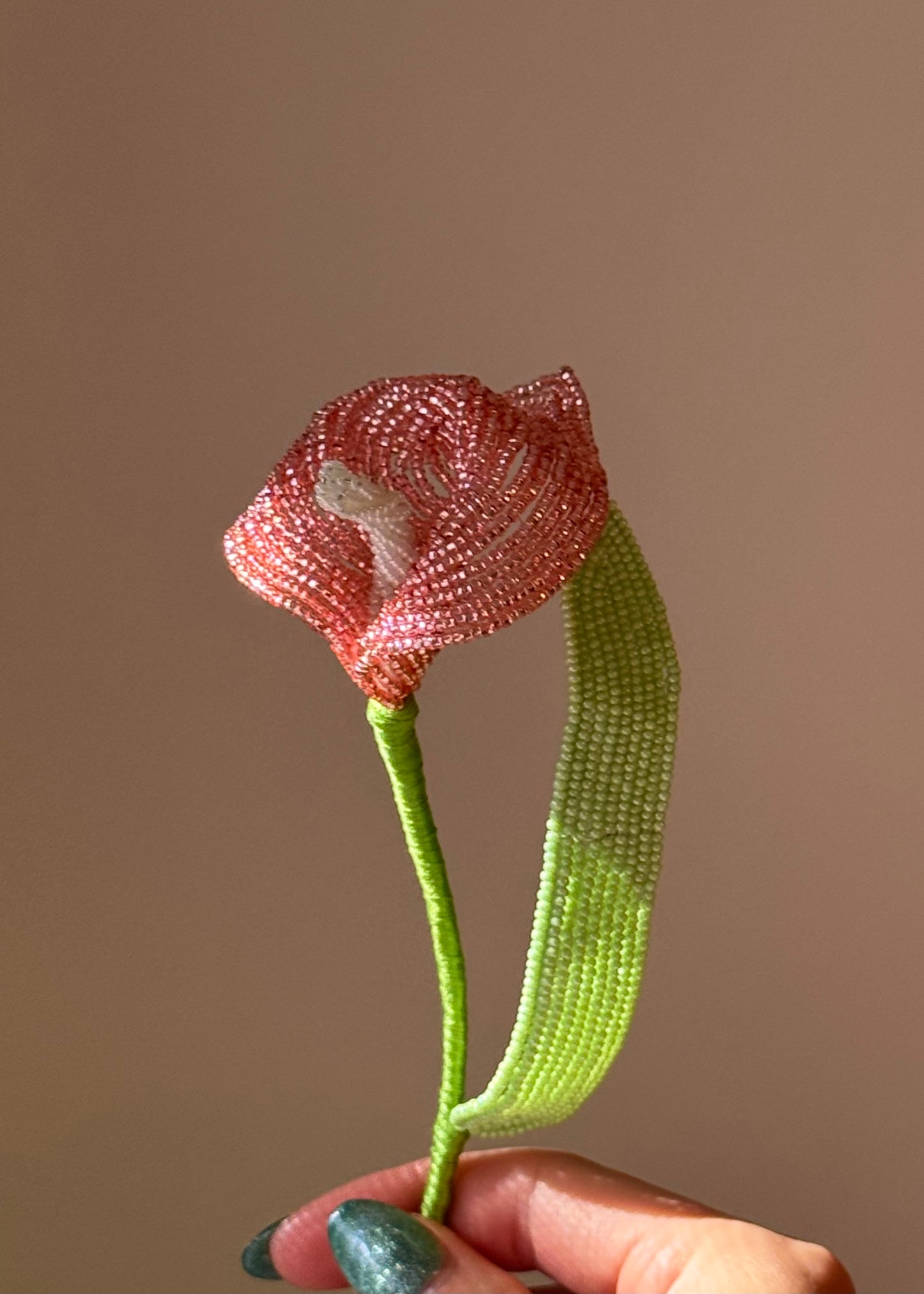 single calla lily stem