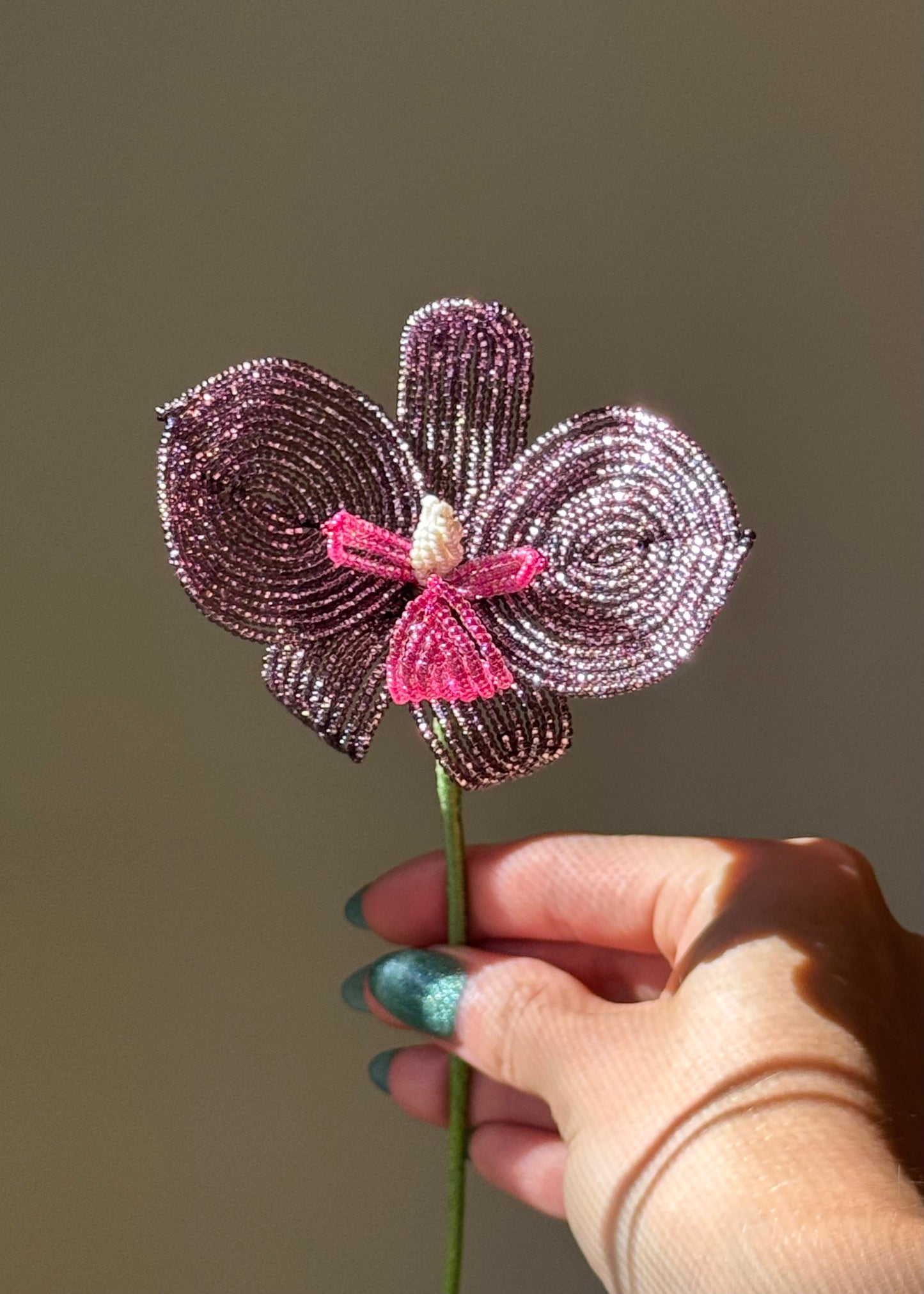 single purple orchid stem
