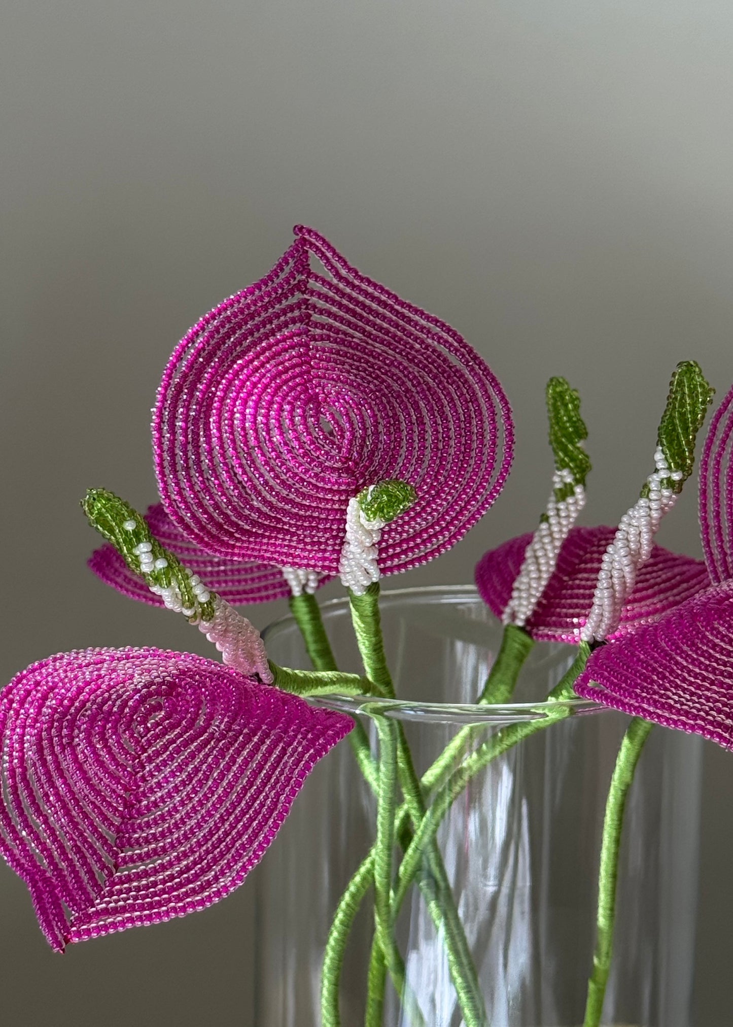 single anthurium stem
