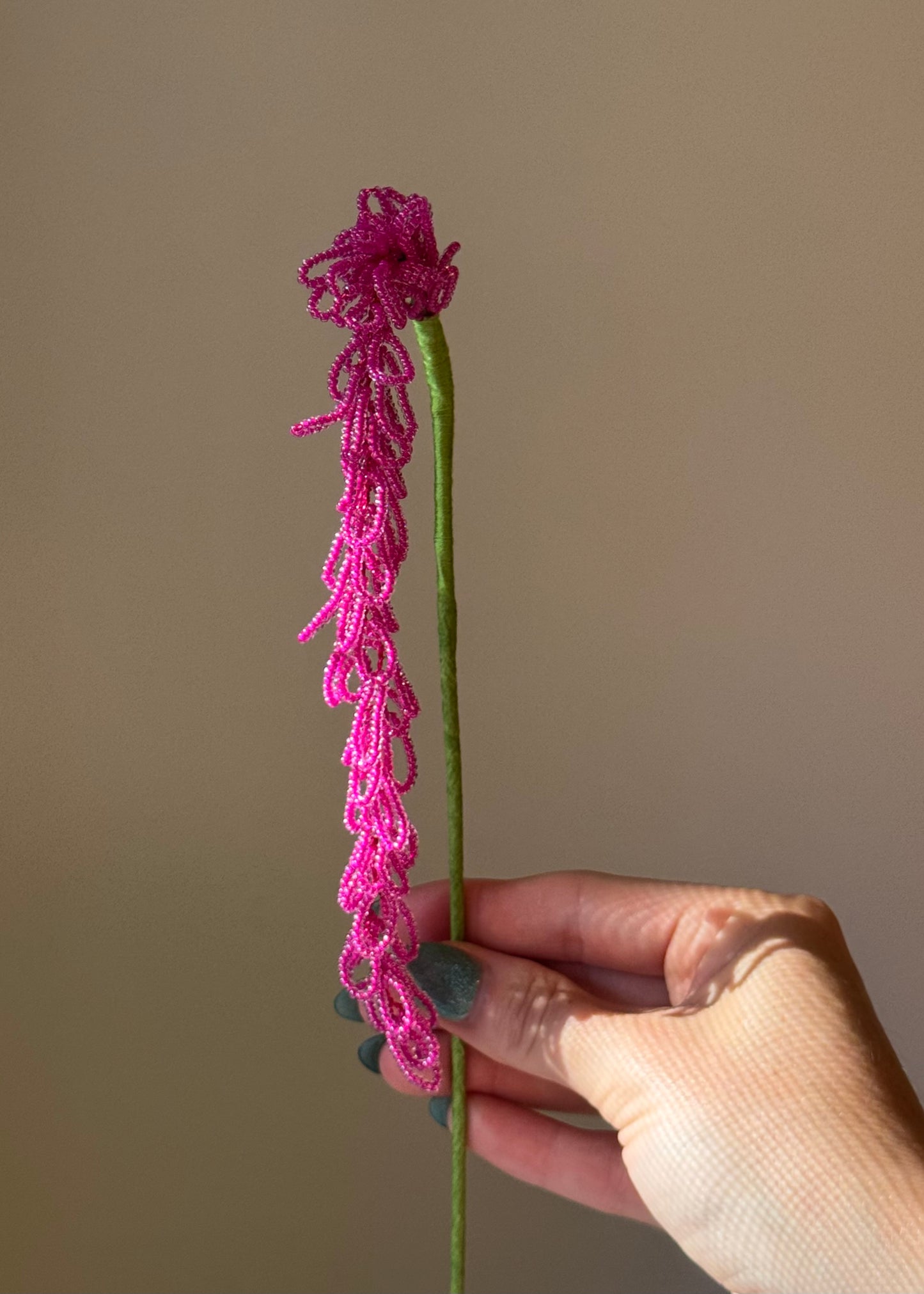 hanging amaranthus stem