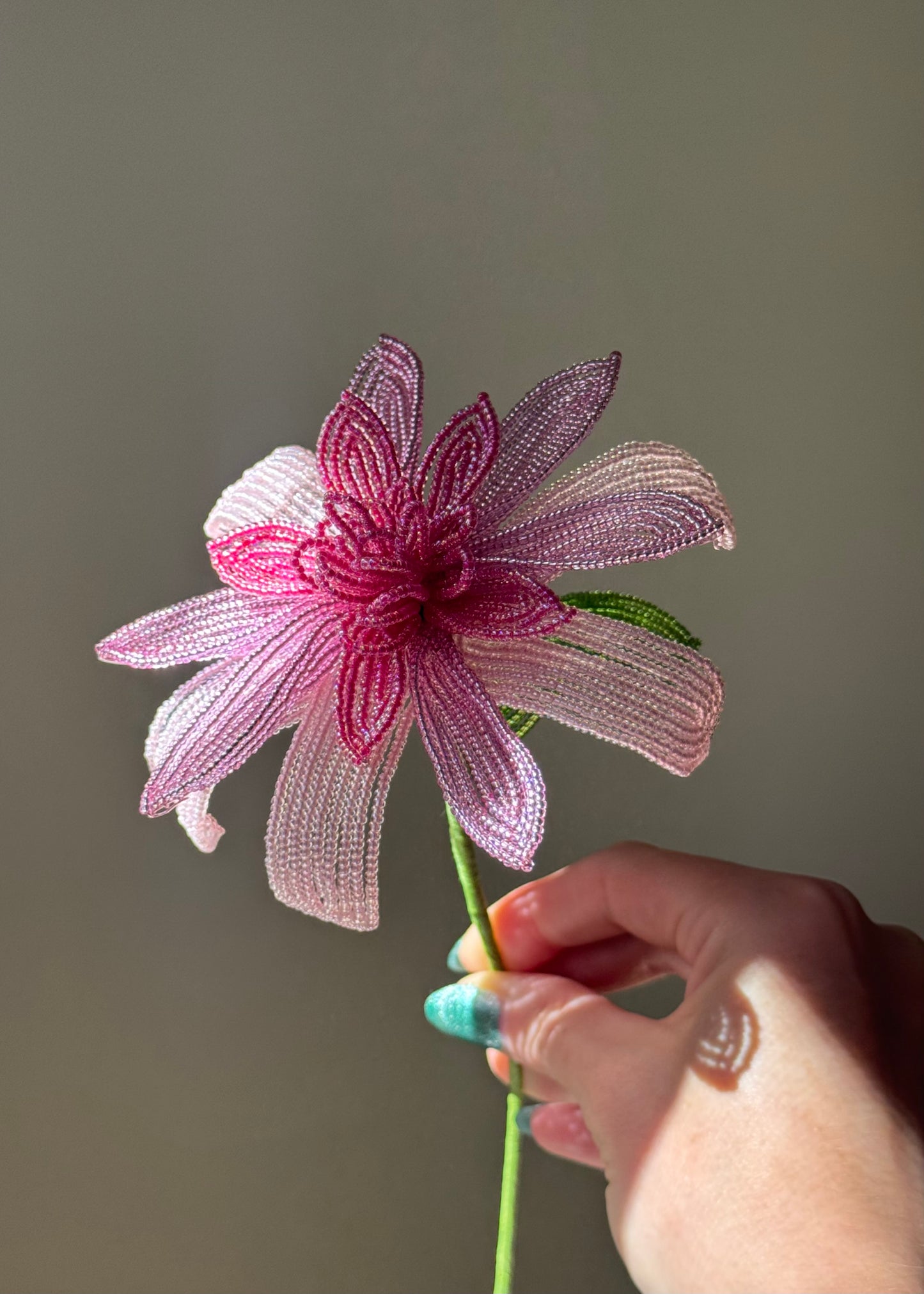 single pink dahlia stem