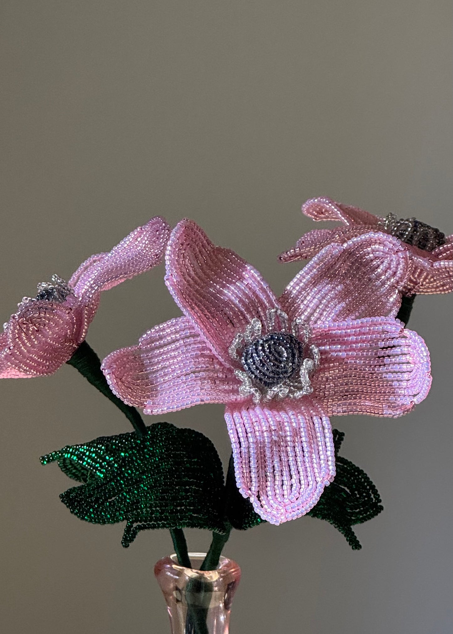 pink anemone trio