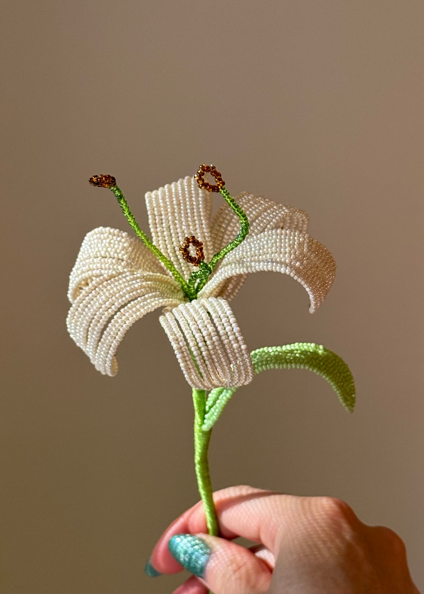 single lily stem