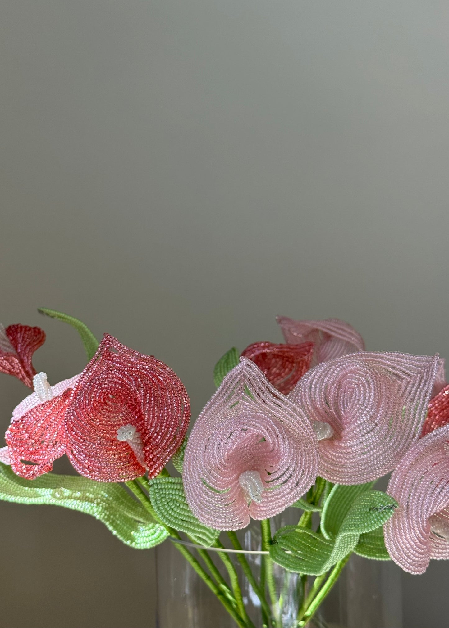 single calla lily stem