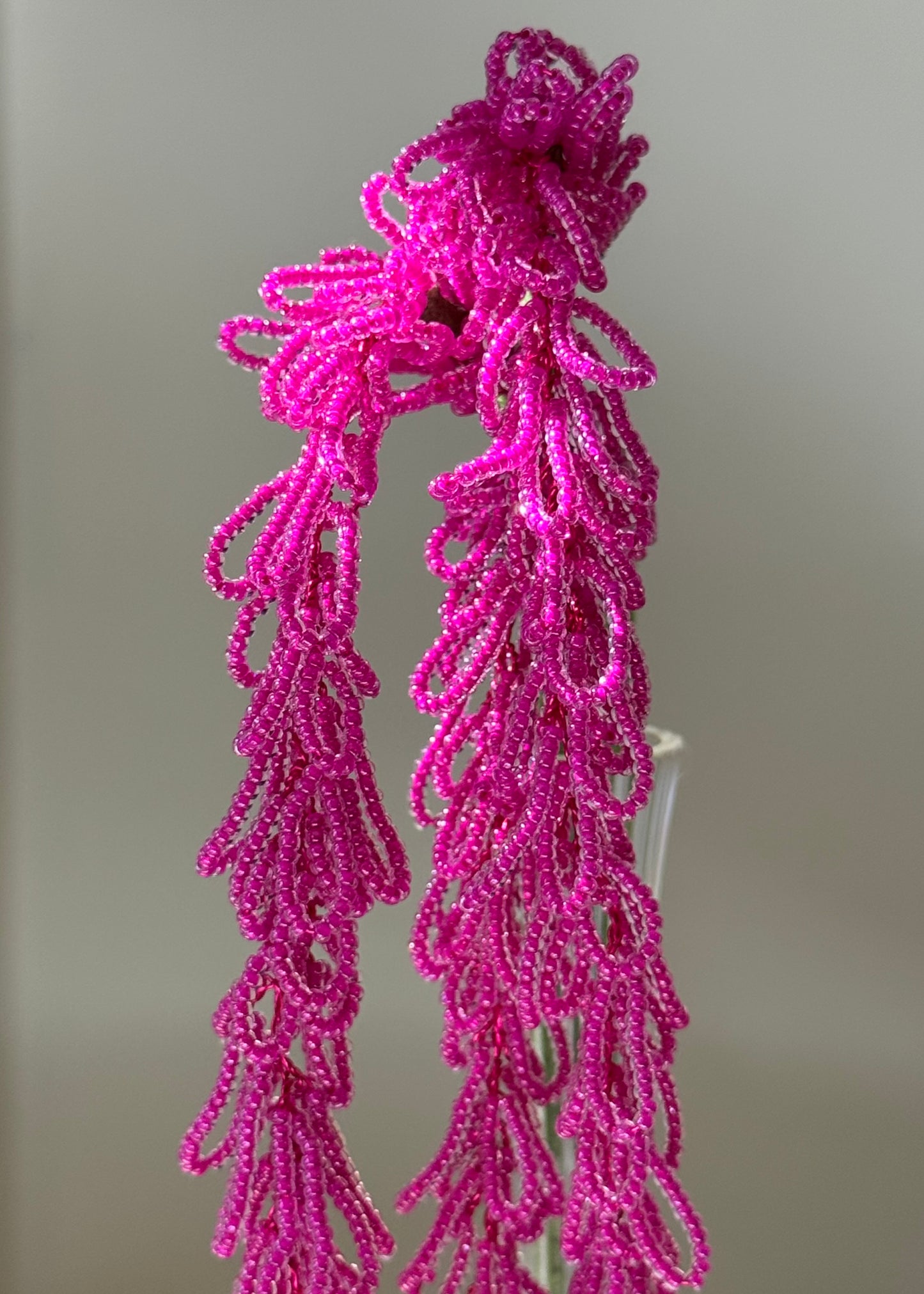 hanging amaranthus stem