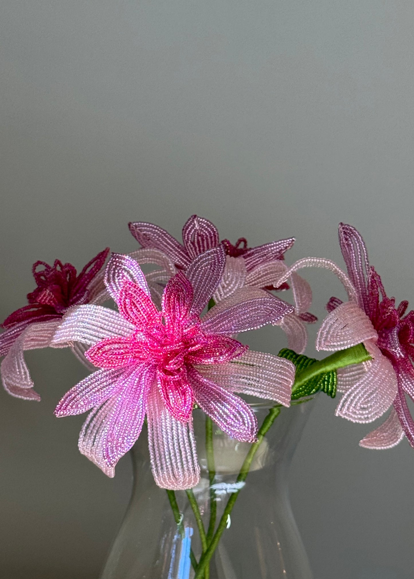 single pink dahlia stem