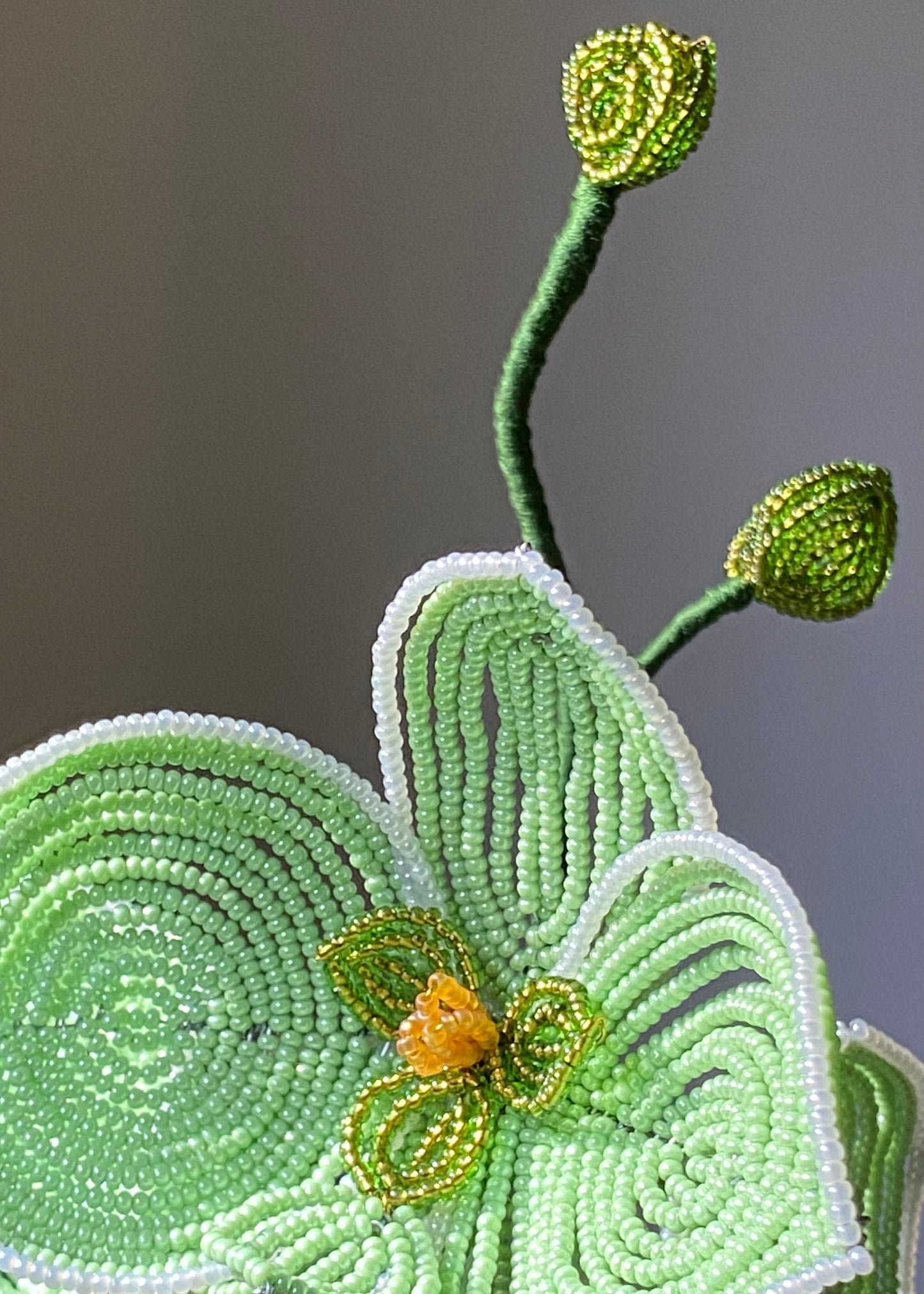 orchid bouquet