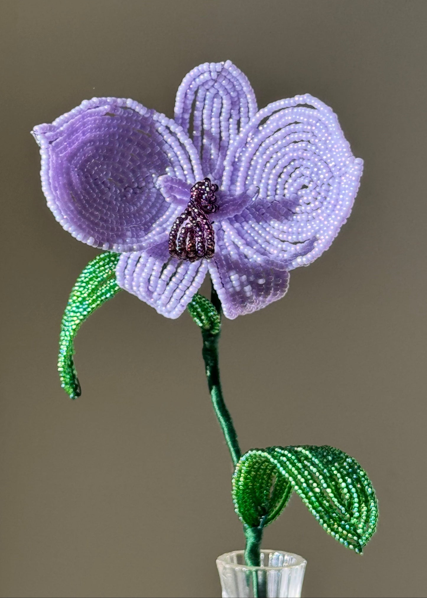 single lilac orchid