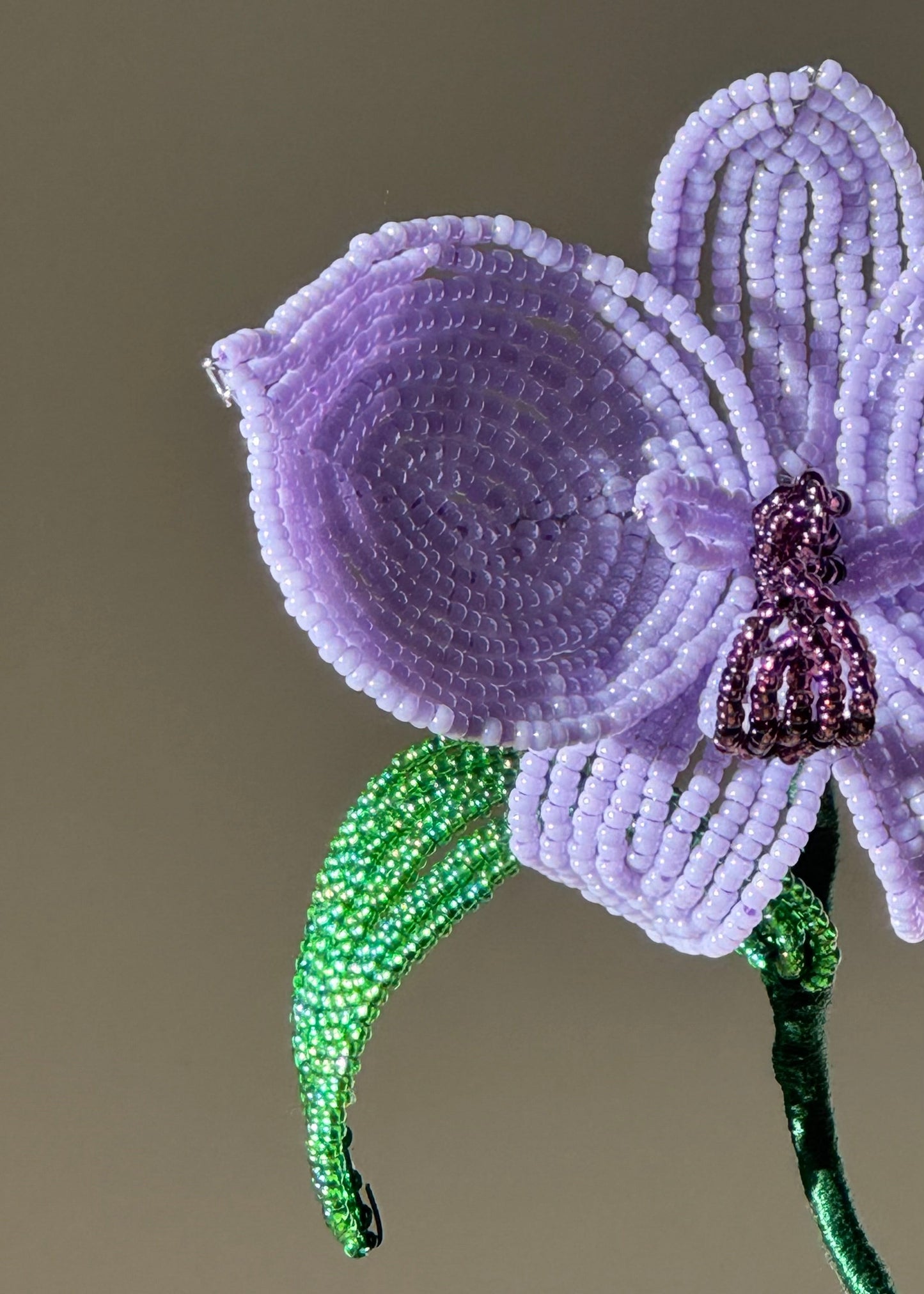 single lilac orchid