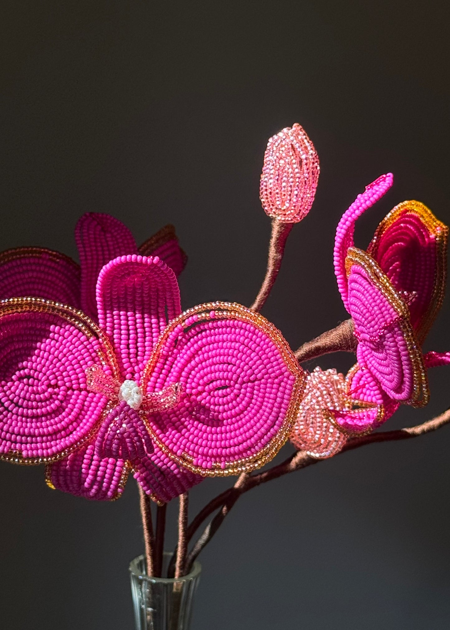 hot pink orchid trio