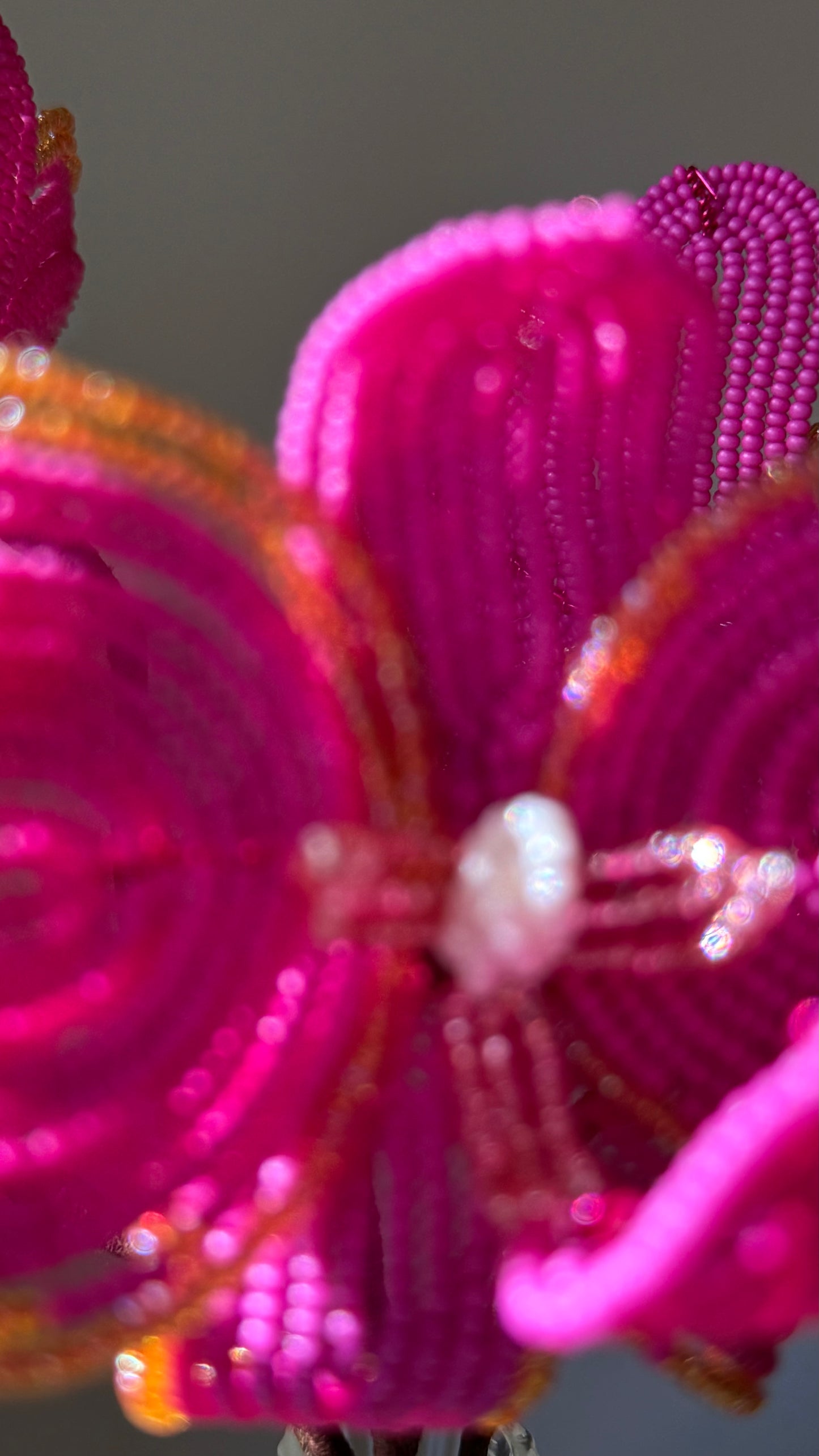 hot pink orchid trio