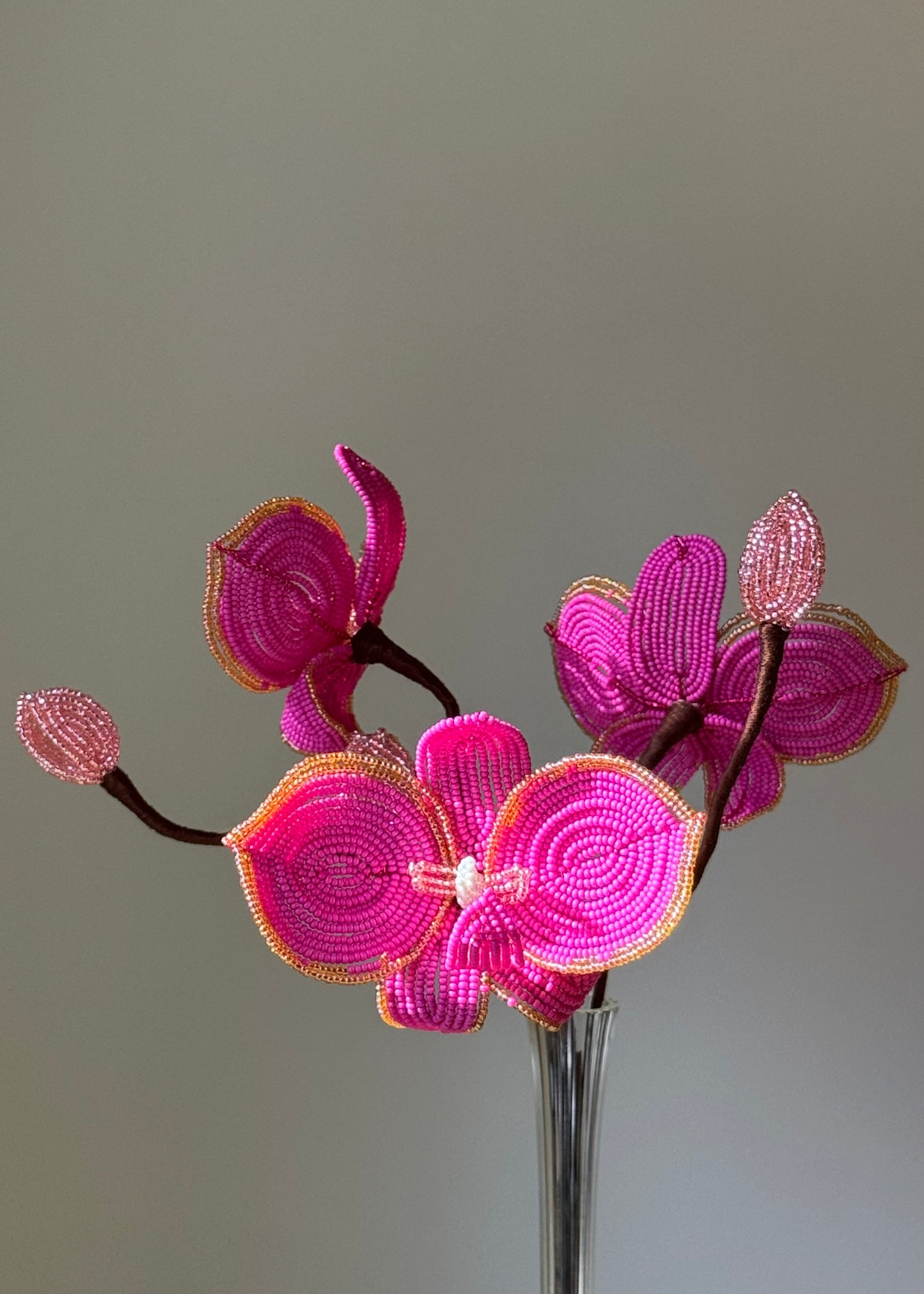 hot pink orchid trio