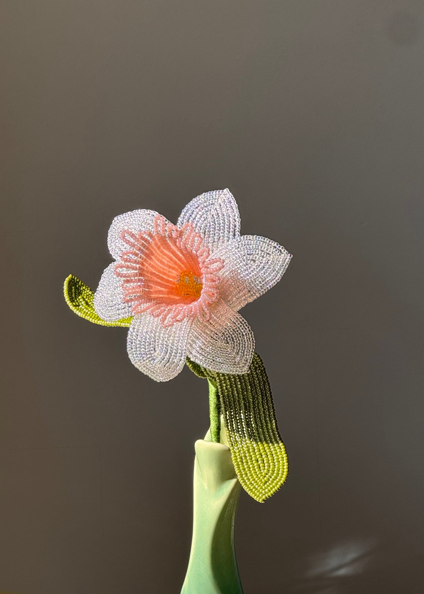single peach daffodil stem