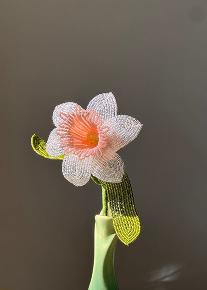 single peach daffodil stem