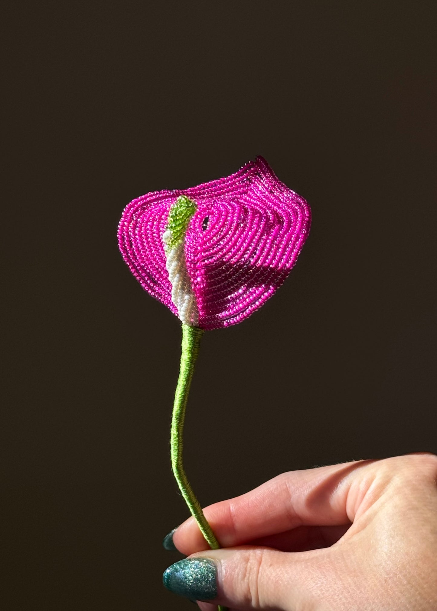 single anthurium stem
