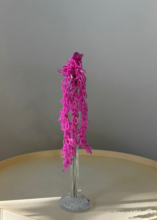 hanging amaranthus stem