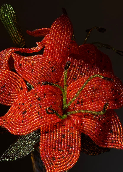 orange tiger lily trio