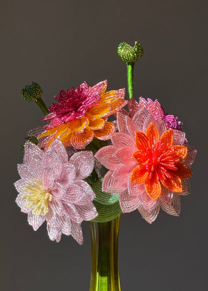 wild dahlia bunch
