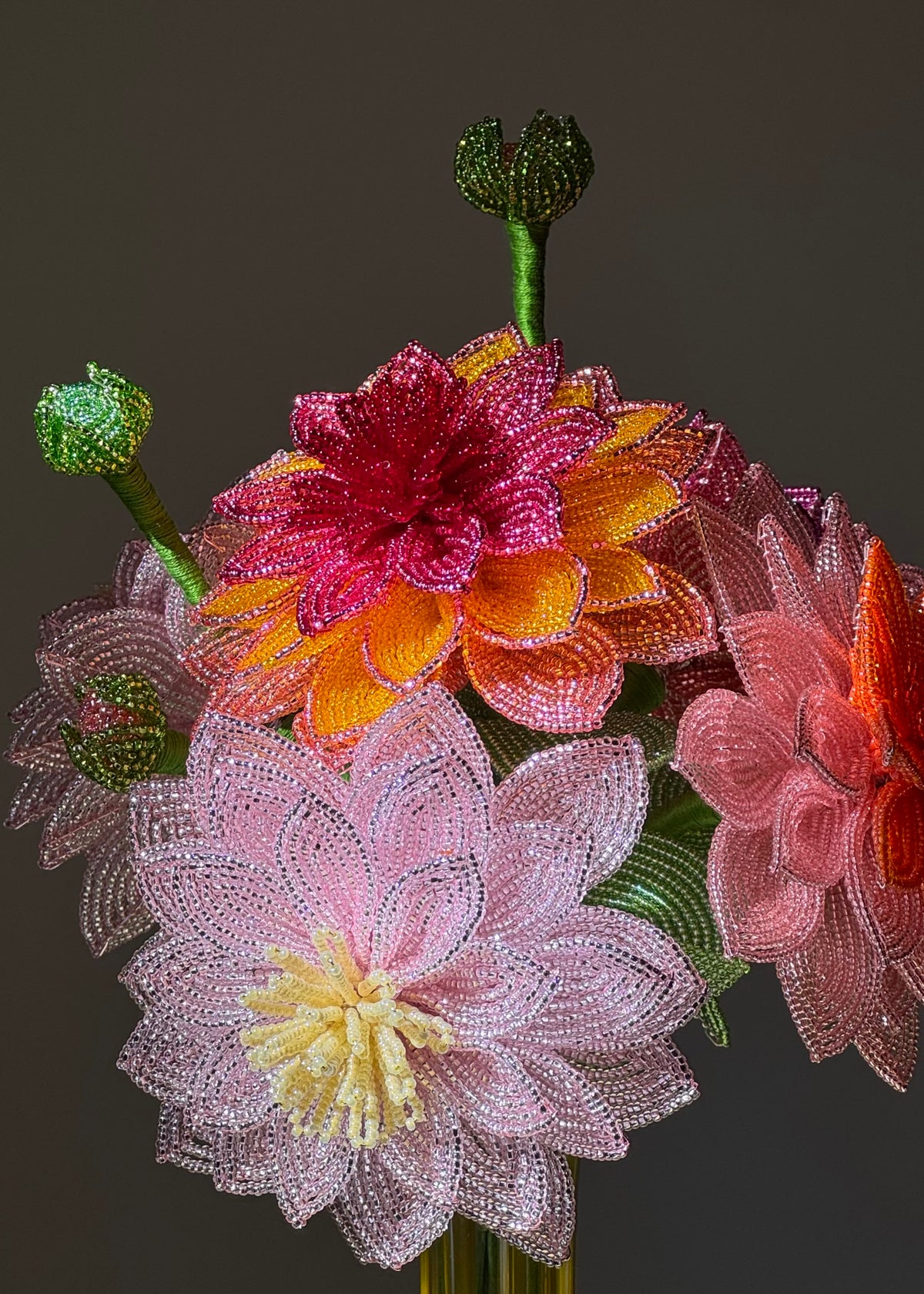 wild dahlia bunch