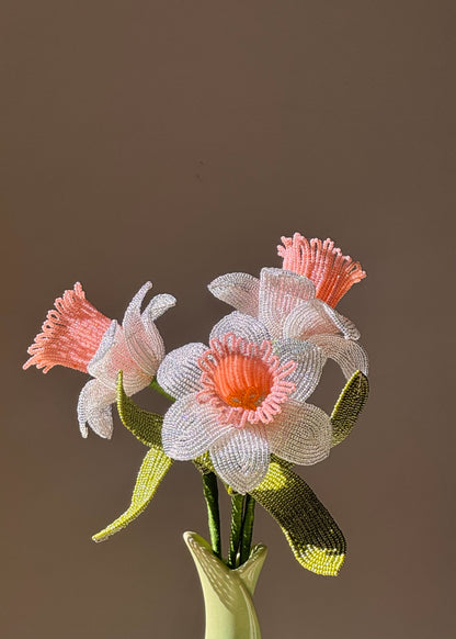 single peach daffodil stem