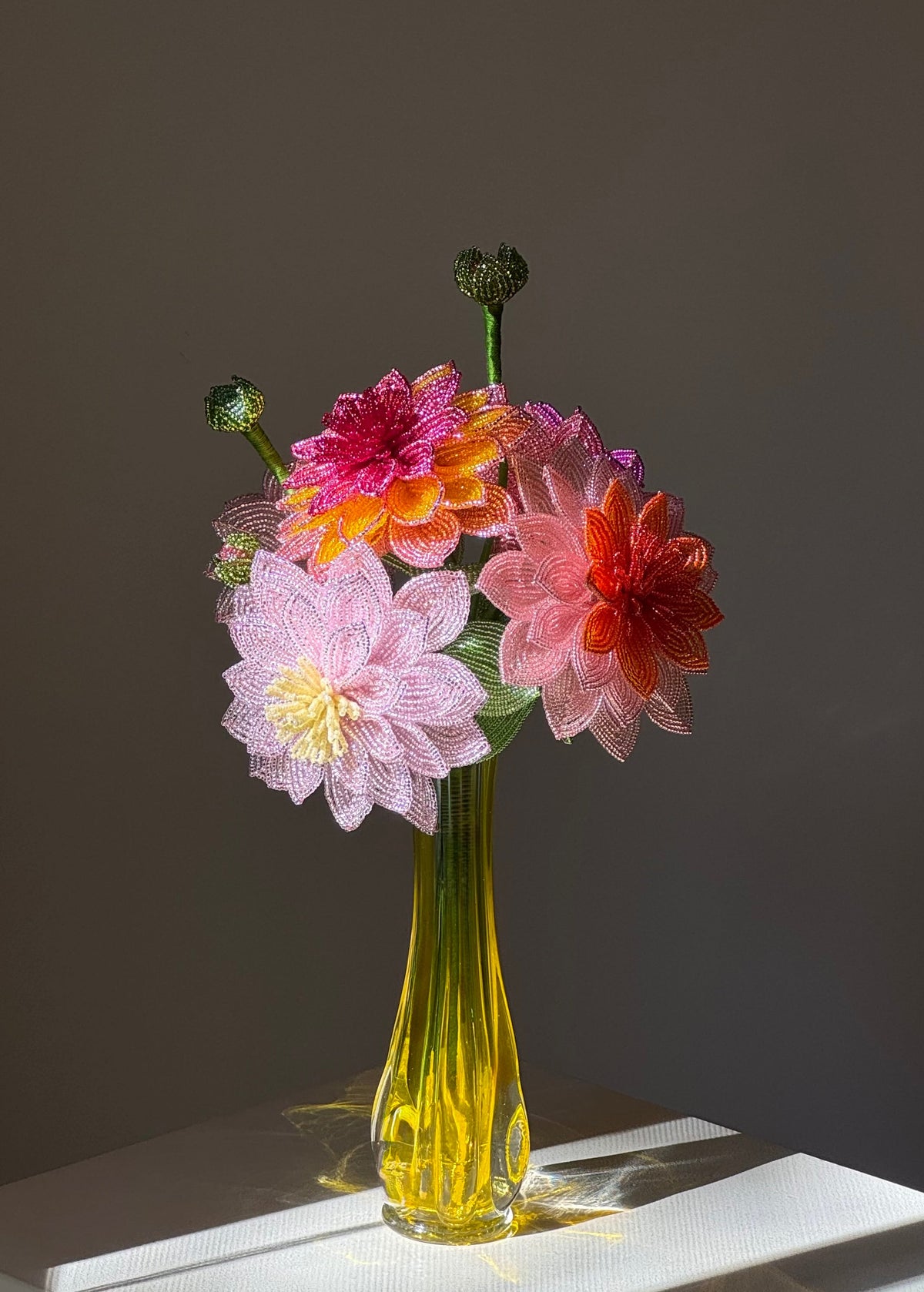 wild dahlia bunch