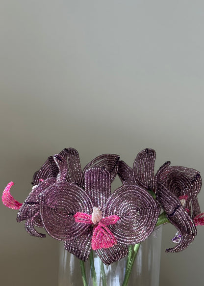 single purple orchid stem
