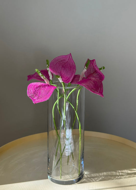 single anthurium stem
