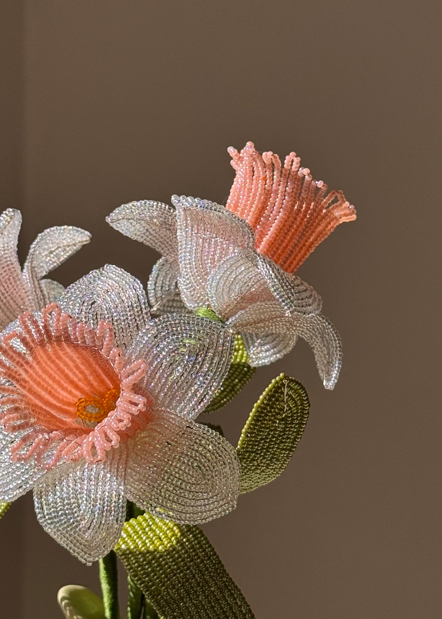 single peach daffodil stem