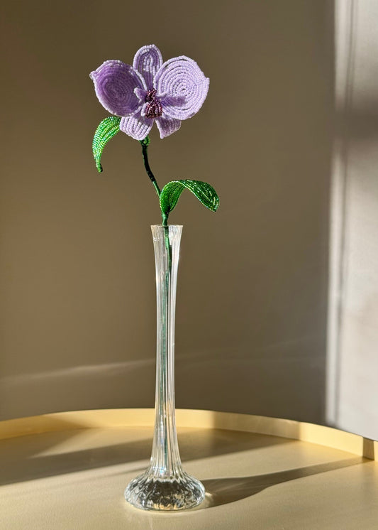 single lilac orchid