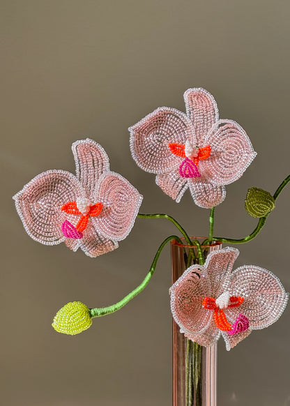 orchid bouquet