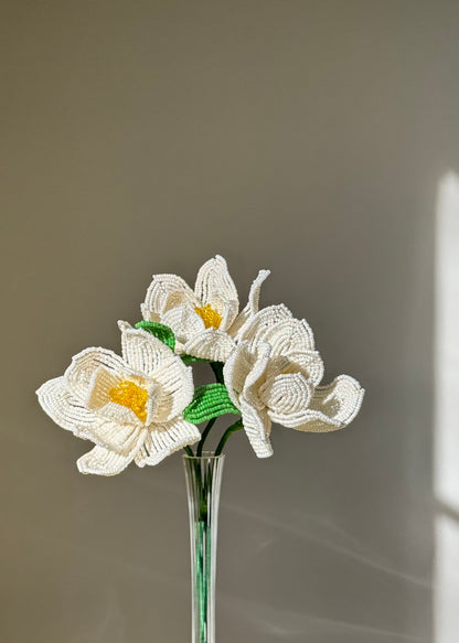 white Japanese peony trio