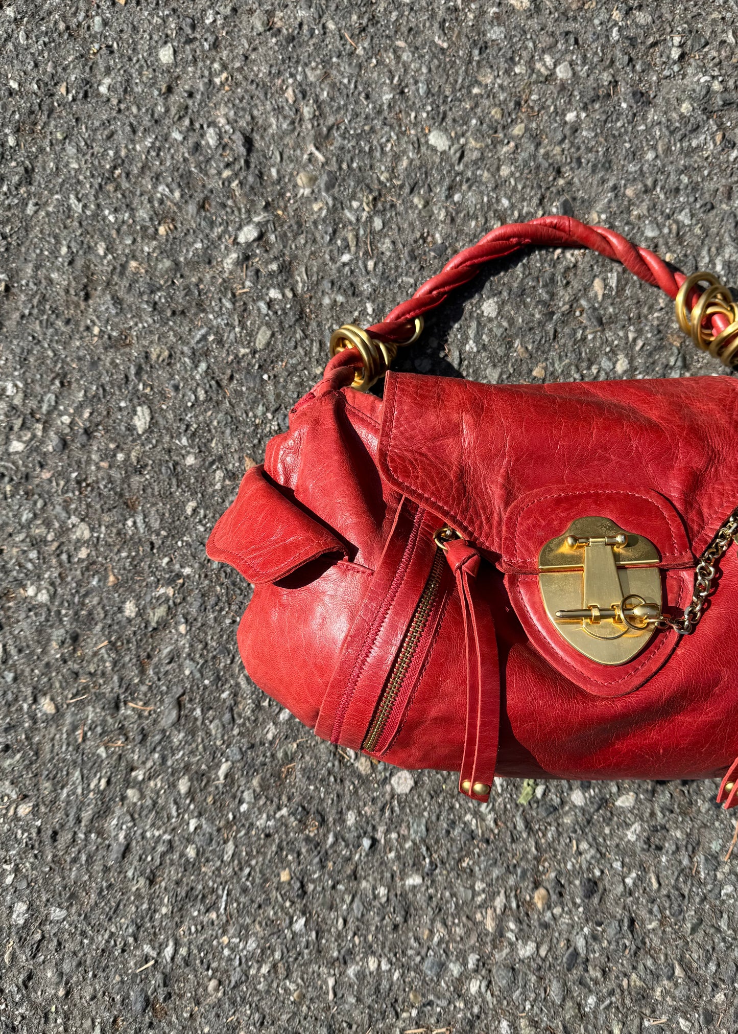rough roses burnt orange bag