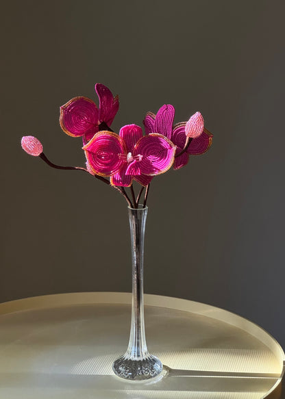 hot pink orchid trio