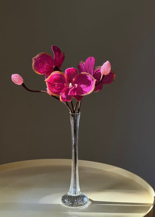 hot pink orchid trio
