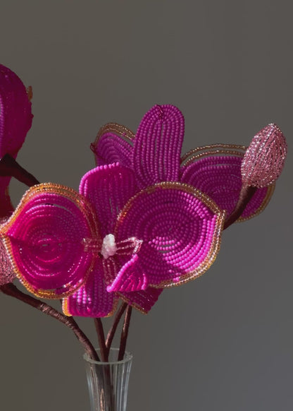 hot pink orchid trio