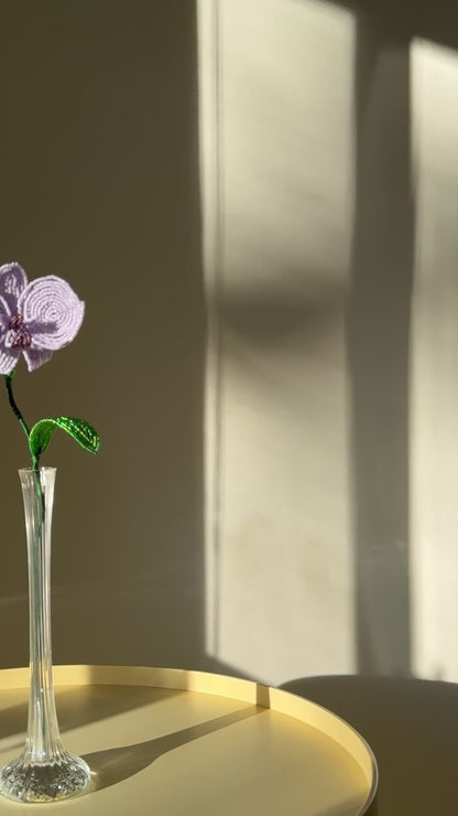 single lilac orchid