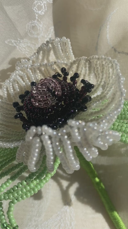white anemone trio